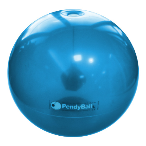 XLG003 - PENDYBALL 4 KG 65 CM
