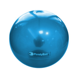 XLG001 - PENDYBALL 2 KG 55 CM