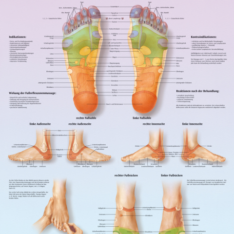 VR4810 - POSTER RIFLESSOLOGIA PLANTARE