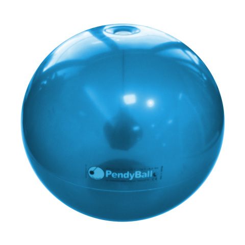 XLG002 - PENDYBALL 2 KG 60 CM